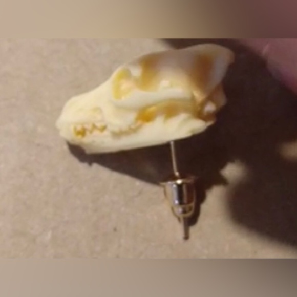 “Animal Skull” Dinosaur Sabertooth Wolf Dog Oddity Creepy Spooky Replica Studs - Picture 5 of 12